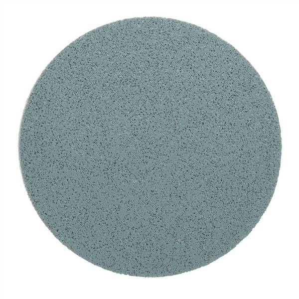 DISCO A STRAPPO TRIZACT P1000