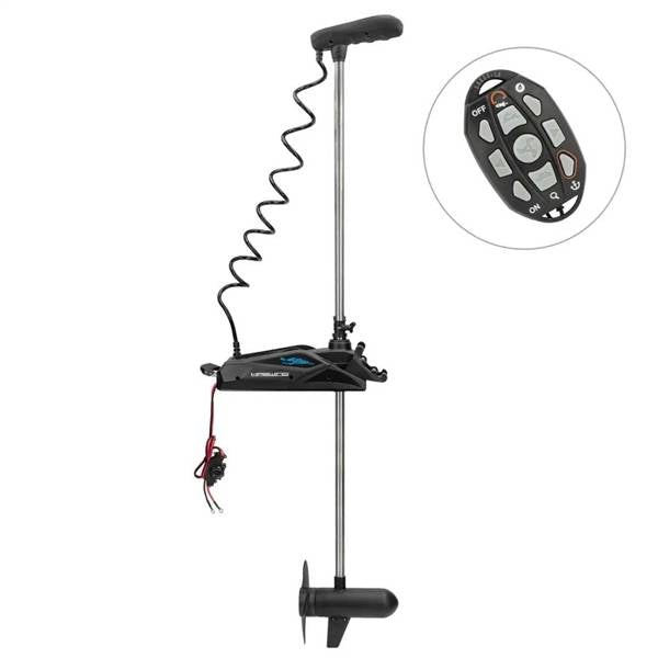 HASWING CAYMAN B 120LB 36V 72"