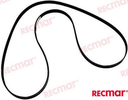 CINGHIA SERPENTE MCM