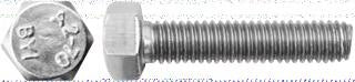 VITE TE INOX 14X150