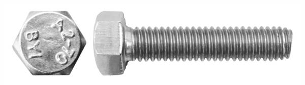 VITE TE INT.FIL. INOX A4 8X20