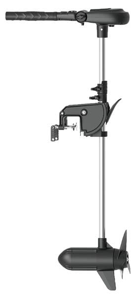 MOTORE ELETTRICO HASWING 2.0 12V
