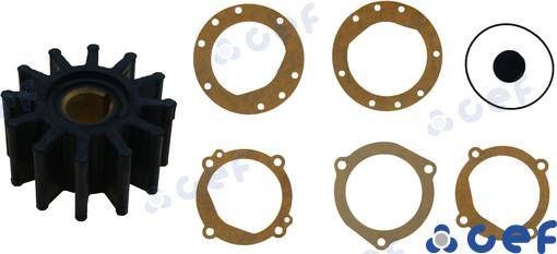 GIRANTE  SHERWOOD 9959